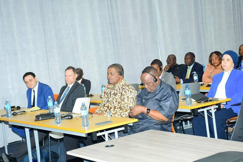 Participation of H.E. the Ambassador in the public conference on the presentation of research results on the German colonial period
